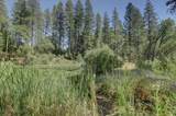 14205 Windwhistle Way - Photo 49