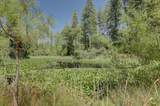 14205 Windwhistle Way - Photo 7