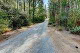 14205 Windwhistle Way - Photo 8