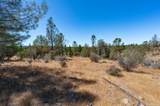 12141 Newtown Road - Photo 12