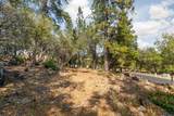 1621 The Point Road - Photo 15