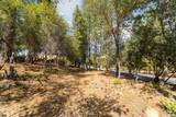 1621 The Point Road - Photo 17