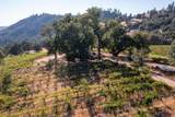 5200 Butte Creek Road - Photo 6