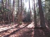0 Alta Power House Road - Photo 10