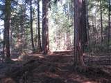 0 Alta Power House Road - Photo 3