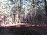 0 Alta Power House Road - Photo 4
