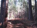 0 Alta Power House Road - Photo 5
