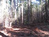 0 Alta Power House Road - Photo 8