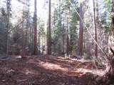 0 Alta Power House Road - Photo 9