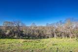 4095 Raphael Drive - Photo 3