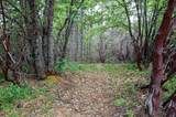 2676 Silver Mountain Road - Photo 43