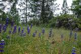 2676 Silver Mountain Road - Photo 46
