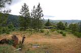 2676 Silver Mountain Road - Photo 9