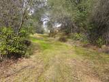 4394 Appaloosa Way - Photo 10