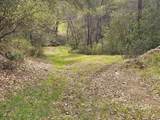 4394 Appaloosa Way - Photo 12