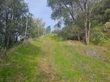 4394 Appaloosa Way - Photo 20