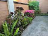 1417 Swain Road - Photo 1