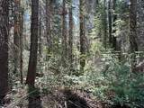 19372 Marsh Mill Road - Photo 6