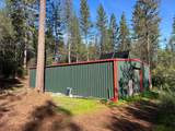 11684 Serendipity Lane - Photo 3