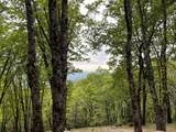 14437 Lightning Tree Road - Photo 2