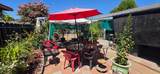 4715 Finney Road - Photo 9
