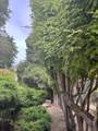 564 Spruce Street - Photo 23