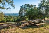 10381 Blue Light Lane - Photo 79