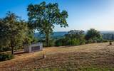 10381 Blue Light Lane - Photo 83