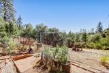 13555 Rancho Nogotta - Photo 22
