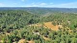 17014 River Ranch Road - Photo 38