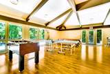 5690 Lupin Lane - Photo 43