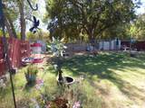 303 Ferrari Way - Photo 52