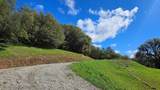 14576 Ballantree Lane - Photo 11