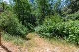 20578 Woodpecker Ravine Road - Photo 3