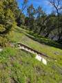 0 49 Highway - Photo 3