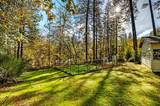 1130 Sage Road - Photo 52