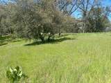 4600 Summer Creek Court - Photo 2