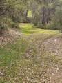 4394 Appaloosa Way - Photo 22