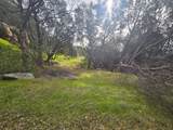 4394 Appaloosa Way - Photo 23