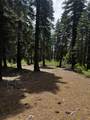19231 Marsh Mill Road - Photo 11