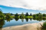 265 Grapevine Ravine Lane - Photo 86
