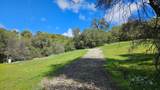 14576 Ballantree Lane - Photo 13