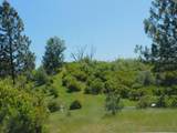 165 Freshwater Lane - Photo 14
