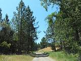 165 Freshwater Lane - Photo 18