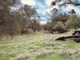 4981 Mourning Dove Lane - Photo 1