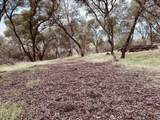 4980 Mourning Dove Lane - Photo 5