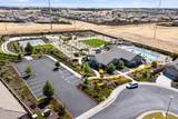 9236 Summer Holly Way - Photo 42