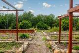 265 Grapevine Ravine Lane - Photo 80