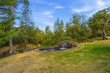 16302 Cook Road - Photo 29