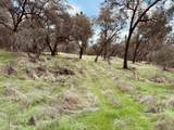 4980 Mourning Dove Lane - Photo 2
